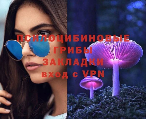 стафф Алзамай