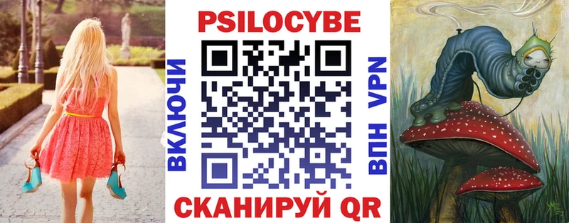 как найти закладки  Прохладный  Псилоцибиновые грибы Psilocybine cubensis 