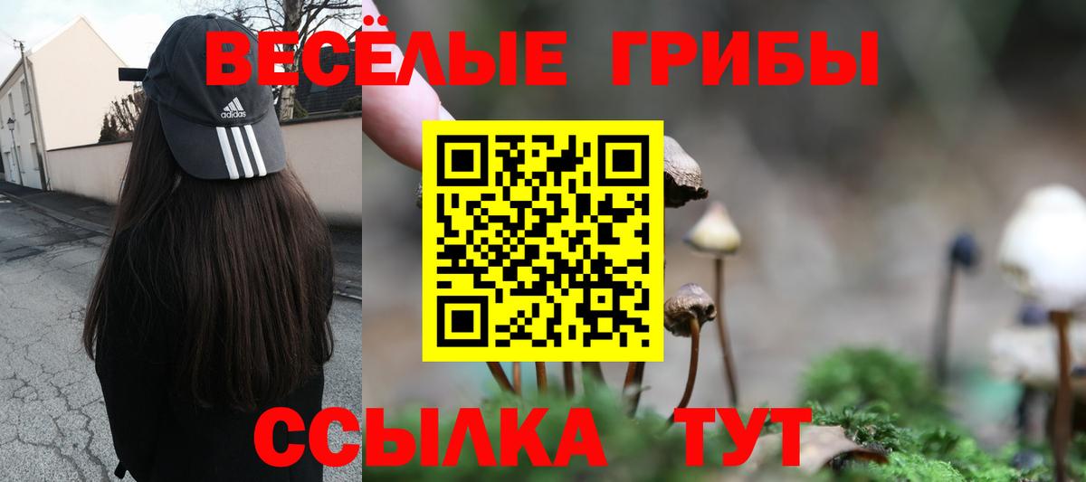 Галлюциногенные грибы мицелий  Вход с VPN  Прохладный 